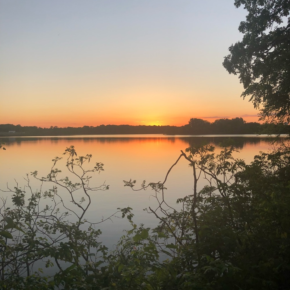 Meet your Posher, Maggie